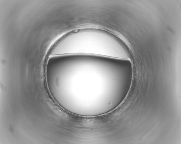 X0000090951364200708021052