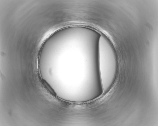 X0000090951365200708021052