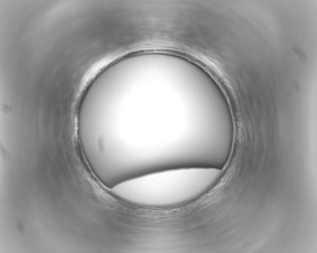 X0000090951366200708021052