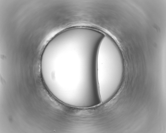 X0000090951367200708021052