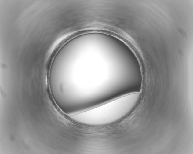 X0000090951368200708021052
