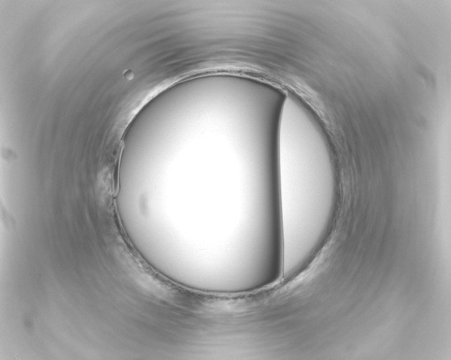 X0000090951369200708021052