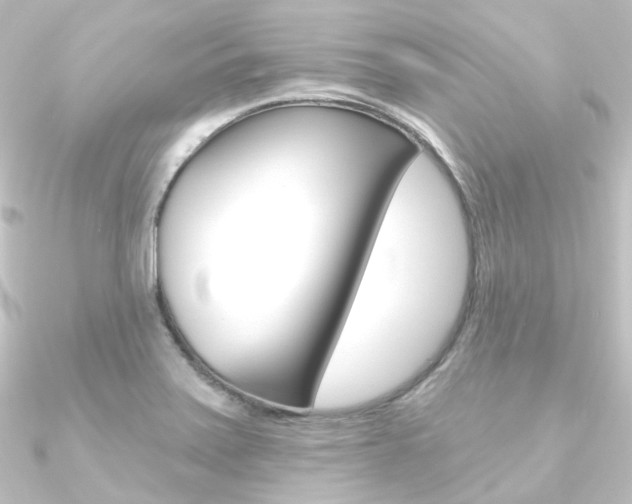 X0000090951371200708021052