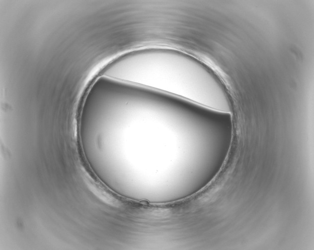 X0000090951372200708021052