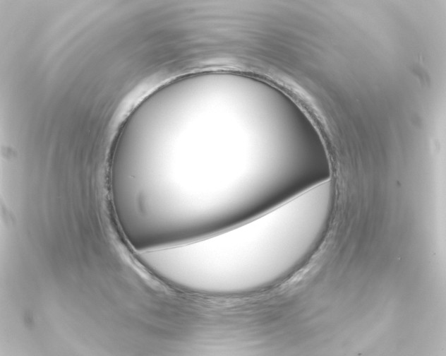 X0000090951373200708021052