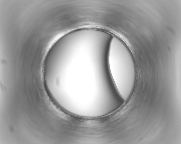X0000090951375200708021052
