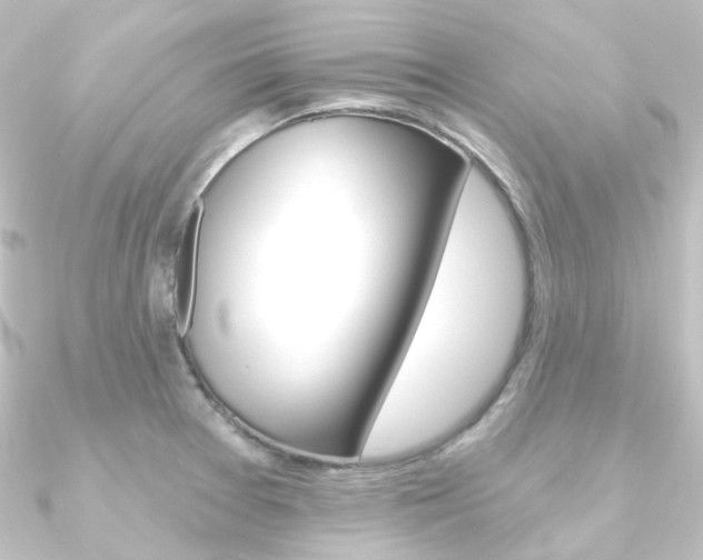 X0000090951377200708021052