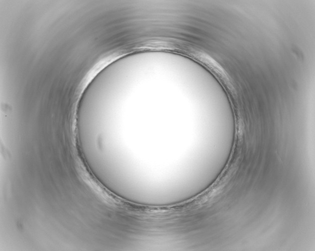 X0000090951378200708021052