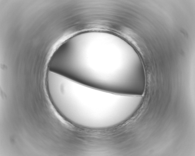 X0000090951379200708021052