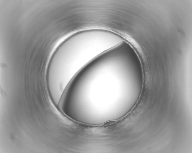 X0000090951380200708021052