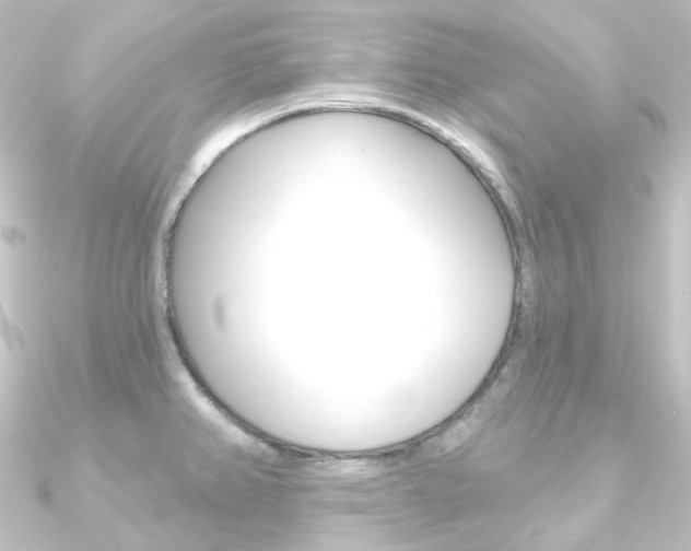 X0000090951382200708021052