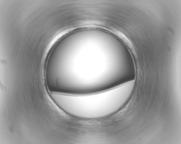 X0000090951384200708021052