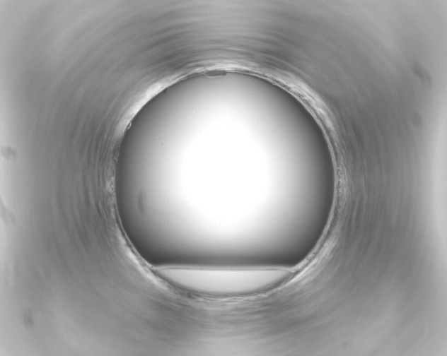 X0000090951385200708021052