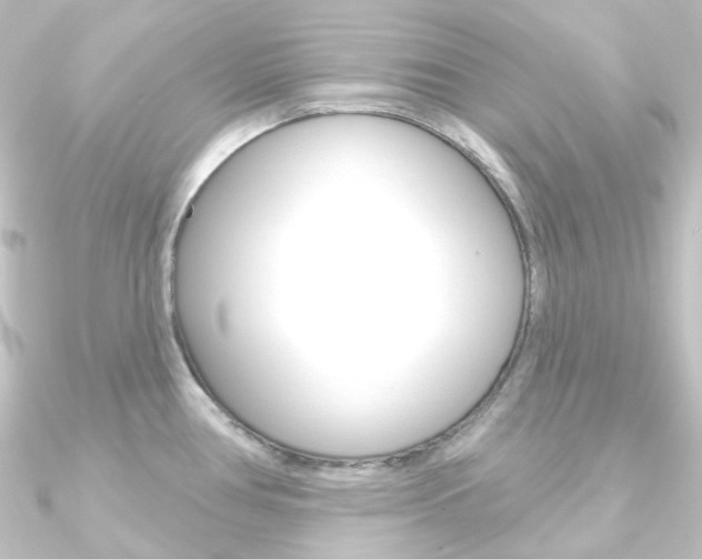 X0000090951386200708021052