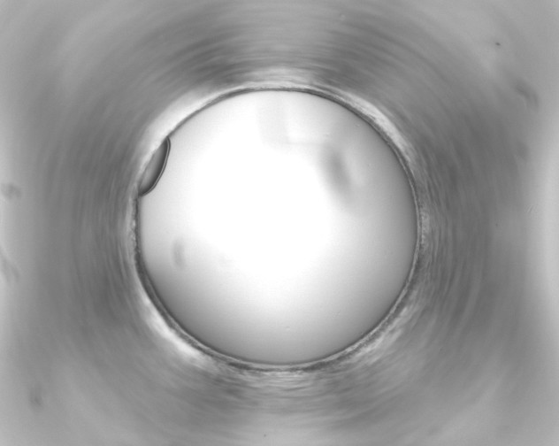 X0000090951387200708021052