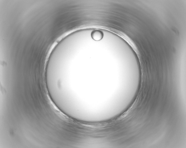 X0000090951388200708021052