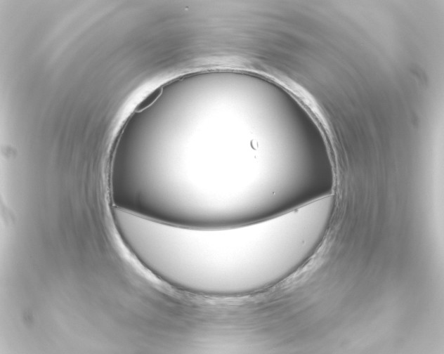 X0000090951389200708021052