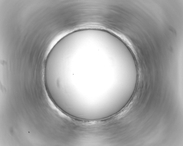 X0000090951390200708021052