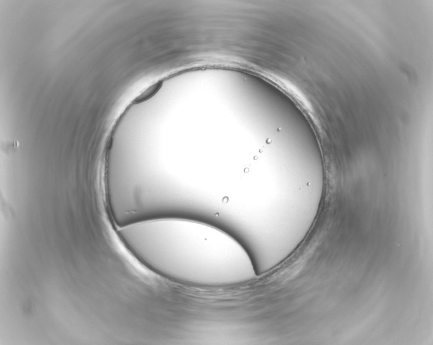X0000090951391200708021052