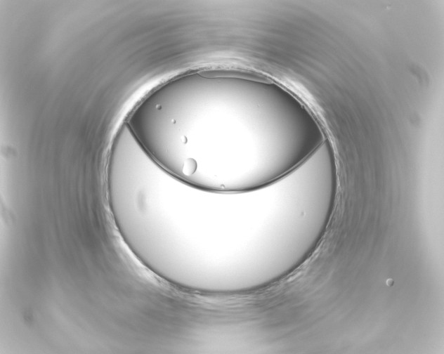 X0000090951392200708021052