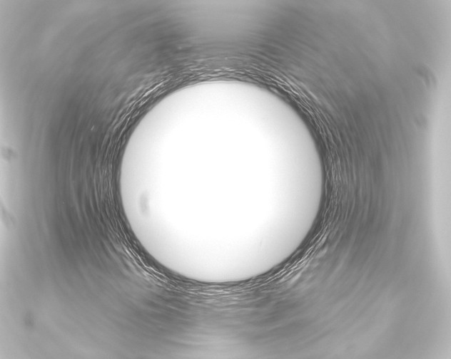 X0000090951394200708021051