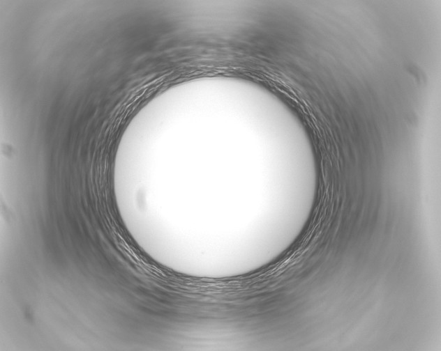 X0000090951396200708021051