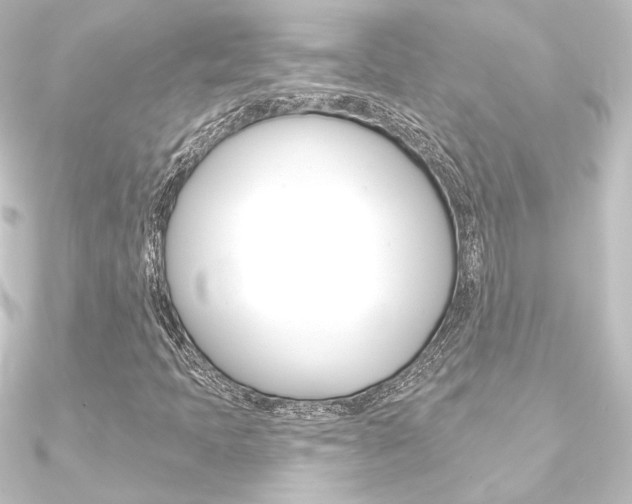 X0000090951397200708021051