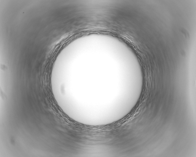 X0000090951398200708021051