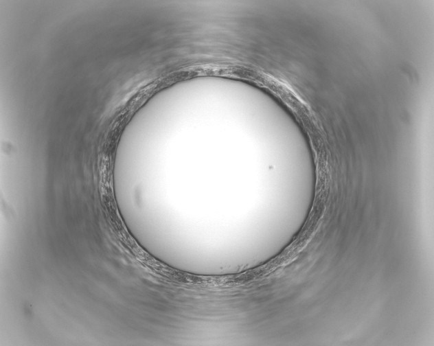 X0000090951399200708021051