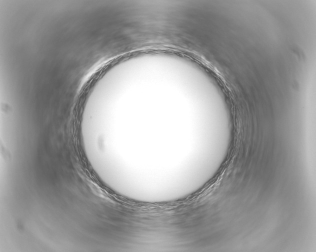 X0000090951400200708021051