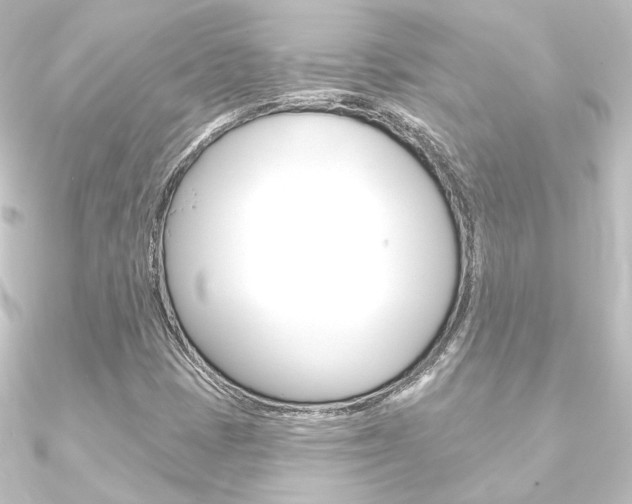 X0000090951401200708021051