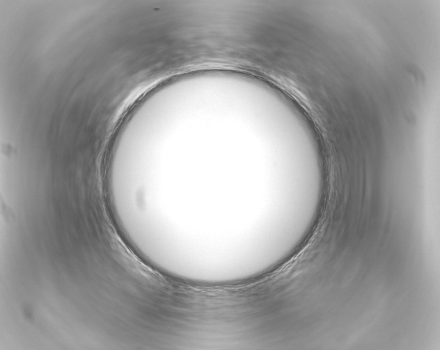 X0000090951404200708021051