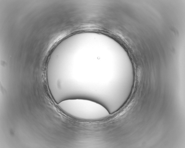 X0000090951405200708021051