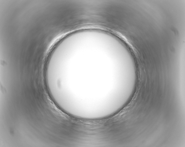 X0000090951408200708021052