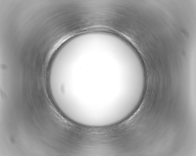 X0000090951410200708021052