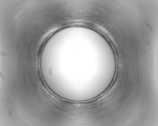 X0000090951411200708021052