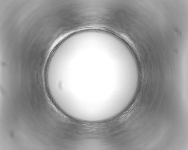 X0000090951412200708021052