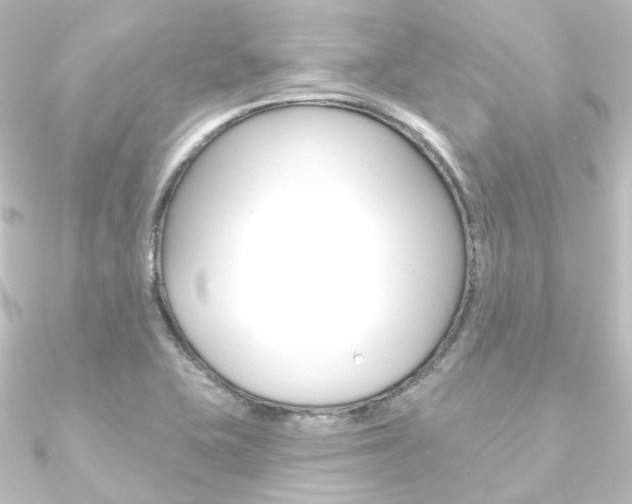 X0000090951415200708021052