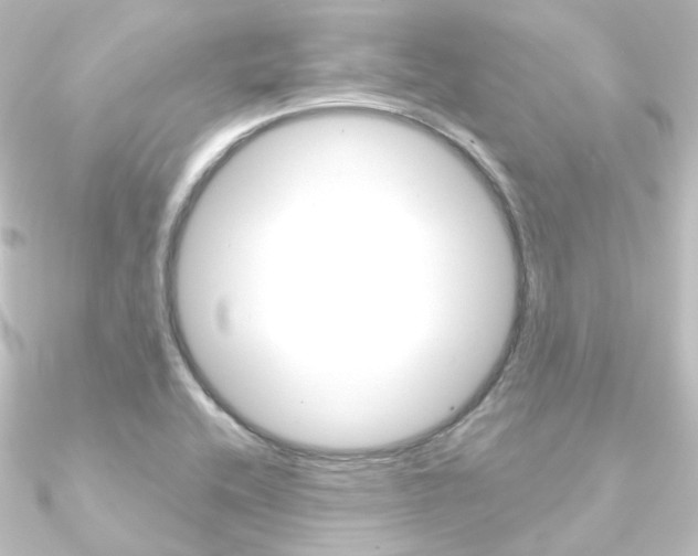 X0000090951416200708021052