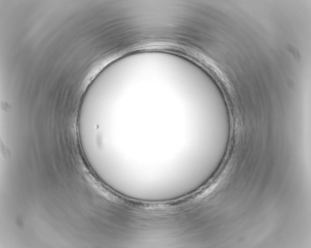 X0000090951417200708021052