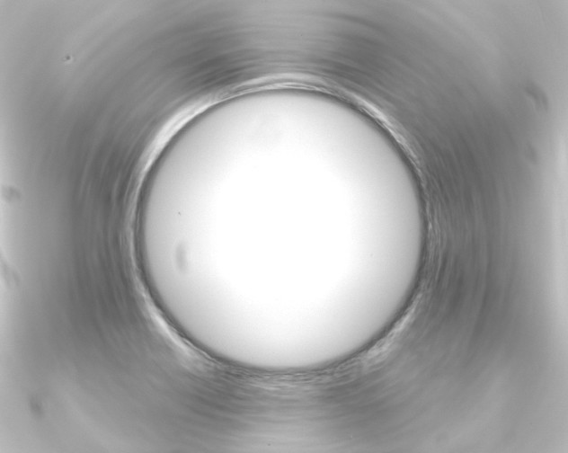 X0000090951418200708021052
