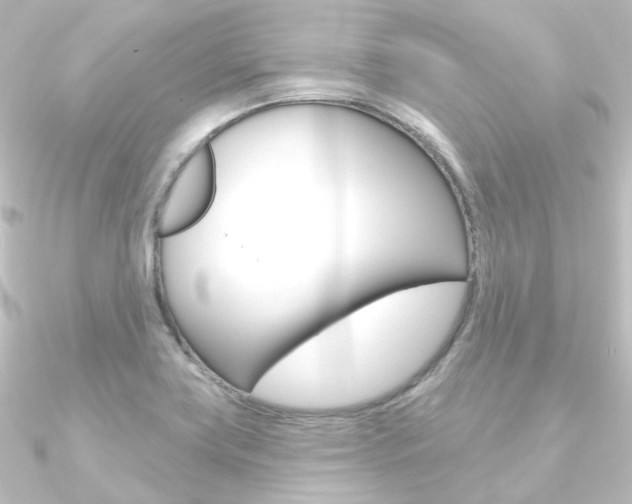 X0000090951419200708021052