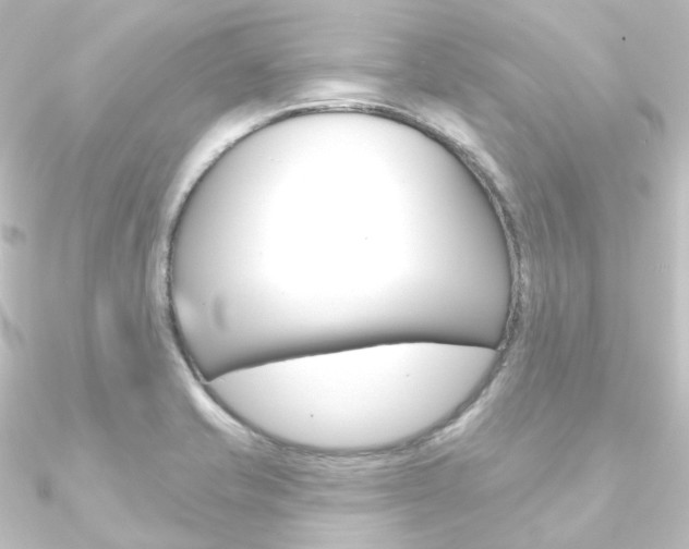 X0000090951421200708021052