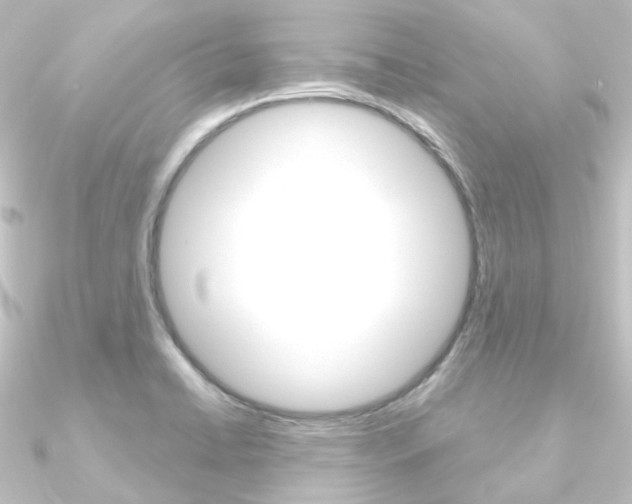 X0000090951422200708021052