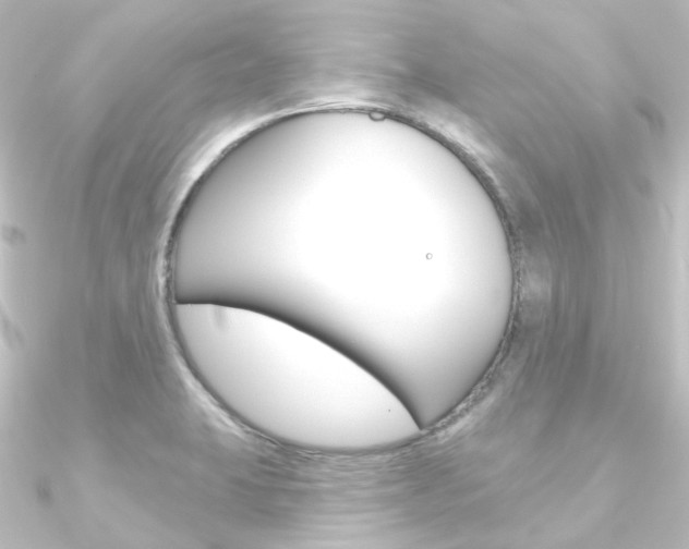 X0000090951423200708021052