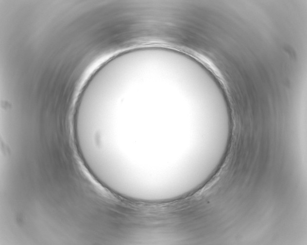 X0000090951424200708021052