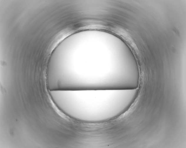 X0000090951425200708021052