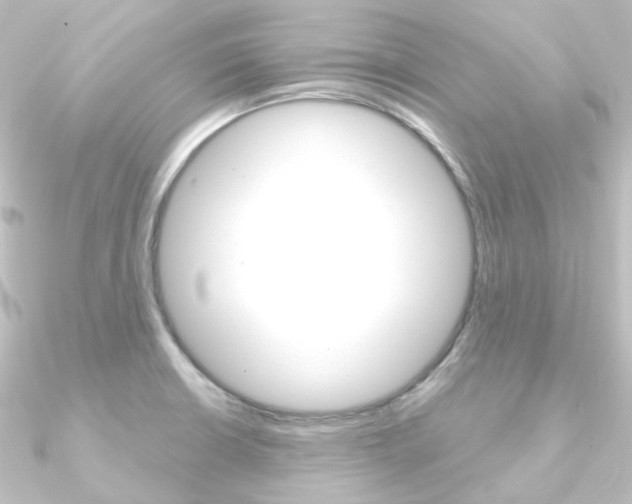 X0000090951426200708021052