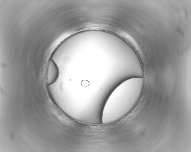 X0000090951427200708021052