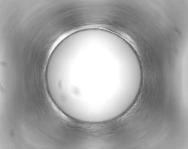 X0000090951428200708021052